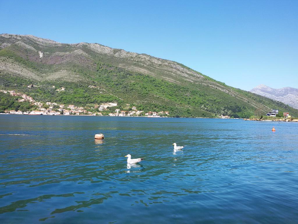 Apartmani Ivana Tivat Exterior foto
